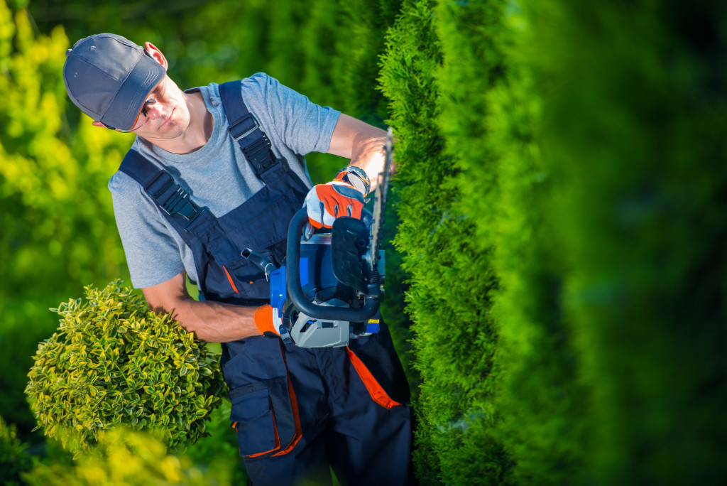 male landscaper at work using a hedge trimmer